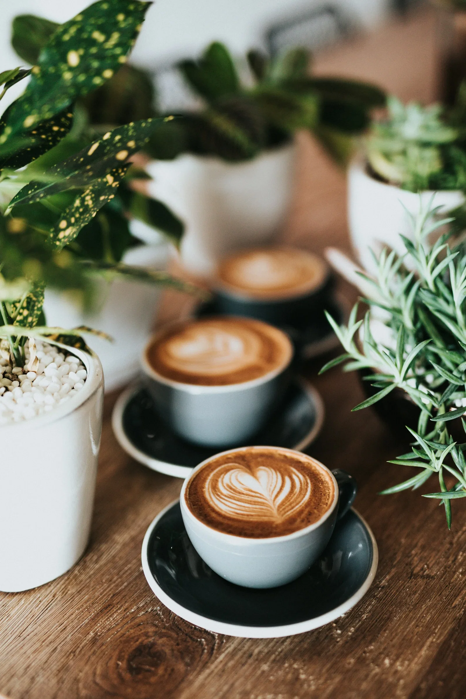 Demo Coffee Room — káva