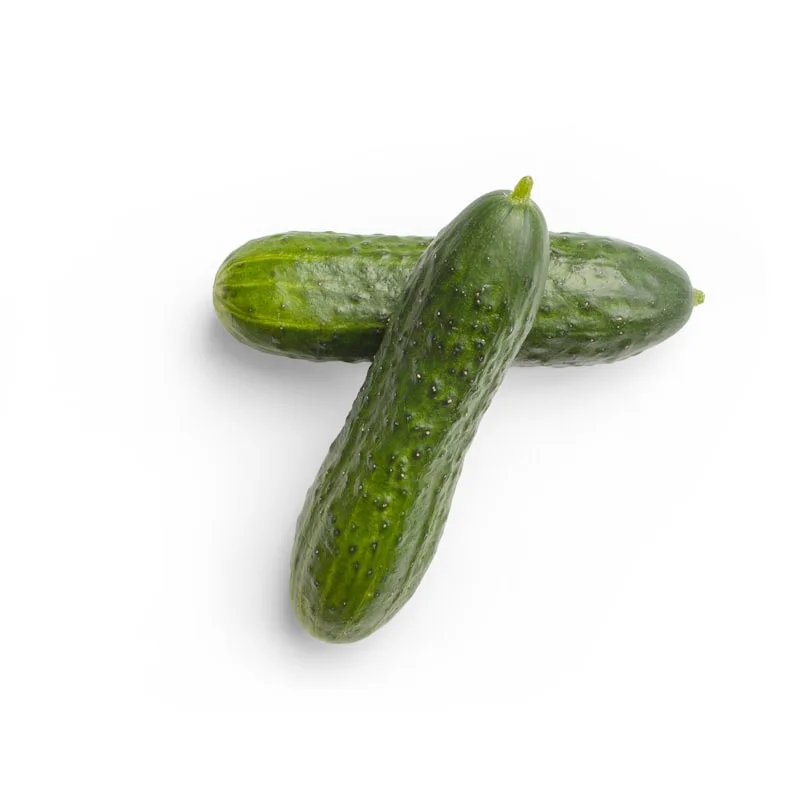 Okurka hadovka, 1 ks