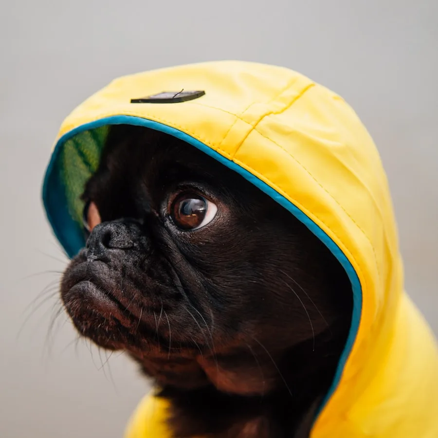 PACKA pláštěnka pro psy — foto 1