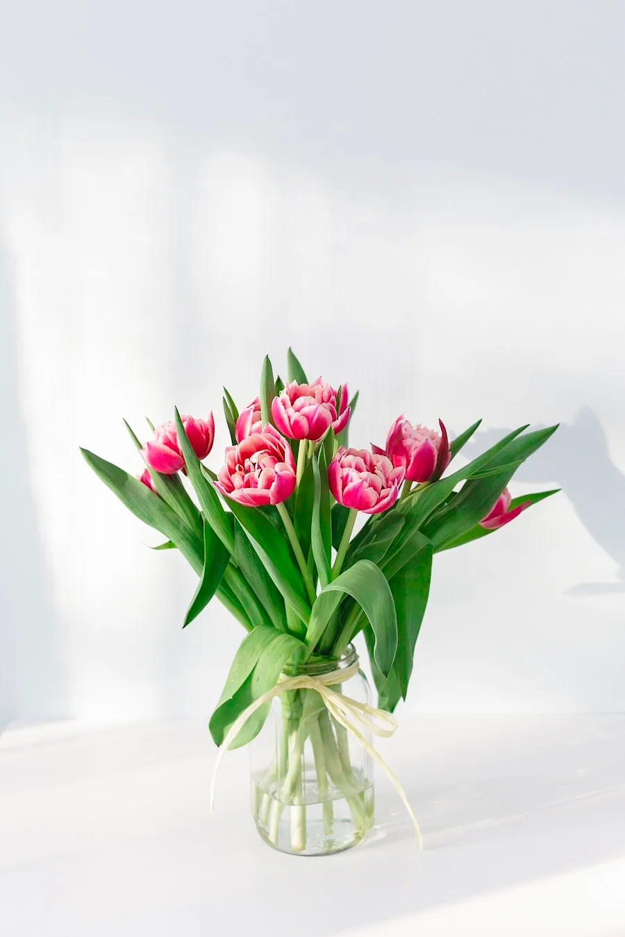 Červené tulipány