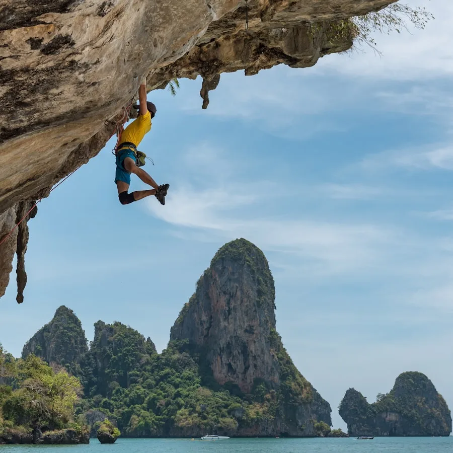 Petzl Corax LT — foto 1