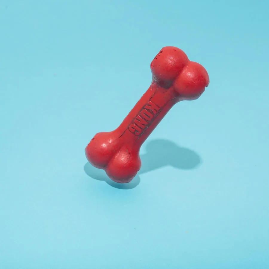 Čenich aportovací kost Bounce — foto 1